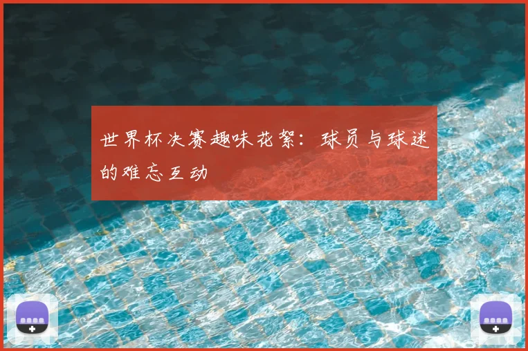 世界杯决赛趣味花絮:球员与球迷的难忘互动