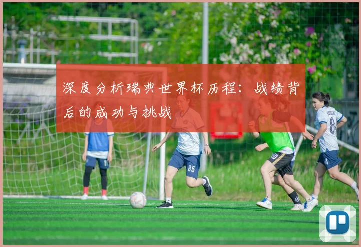 深度分析瑞典世界杯历程:战绩背后的成功与挑战