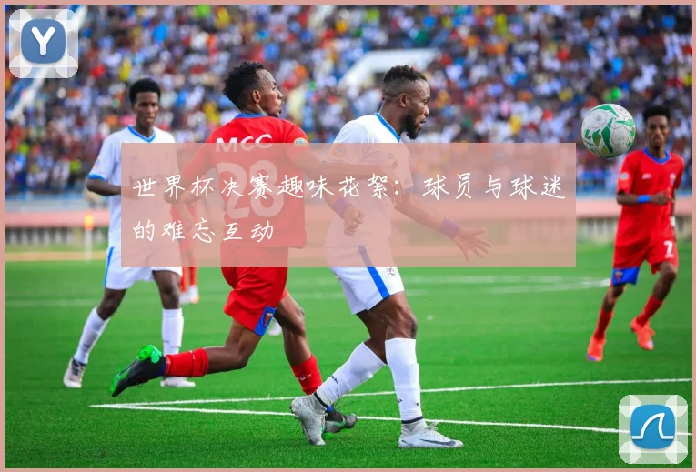 世界杯决赛趣味花絮:球员与球迷的难忘互动