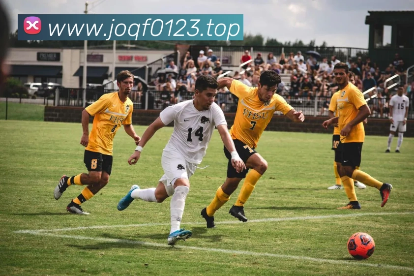 App Interface Preview